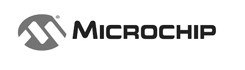microship